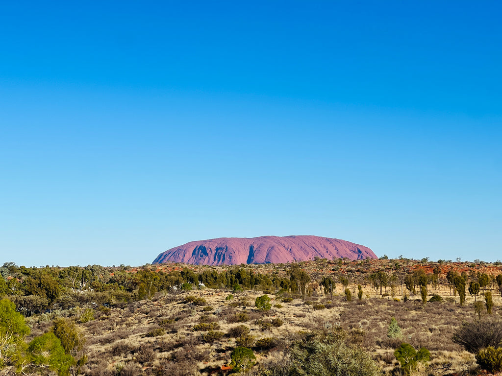 Lessons from Uluru and Why Shop-Bought Produce is falling short  Airgarden's Nutritional Advantage