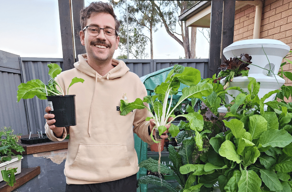 Battling the Rising Cost of Food: How an Airgarden can Save You Money
