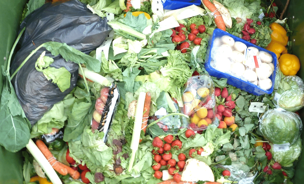 How costly is food waste to us & the planet