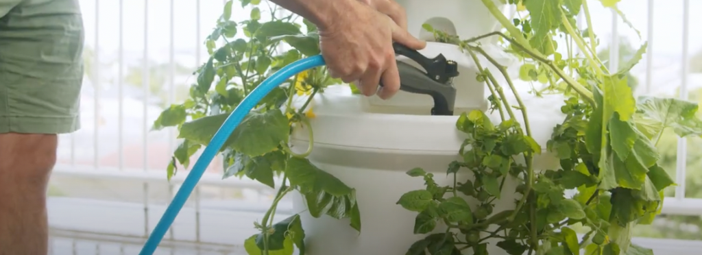 How to Create a Sustainable Garden at Home with Airgarden