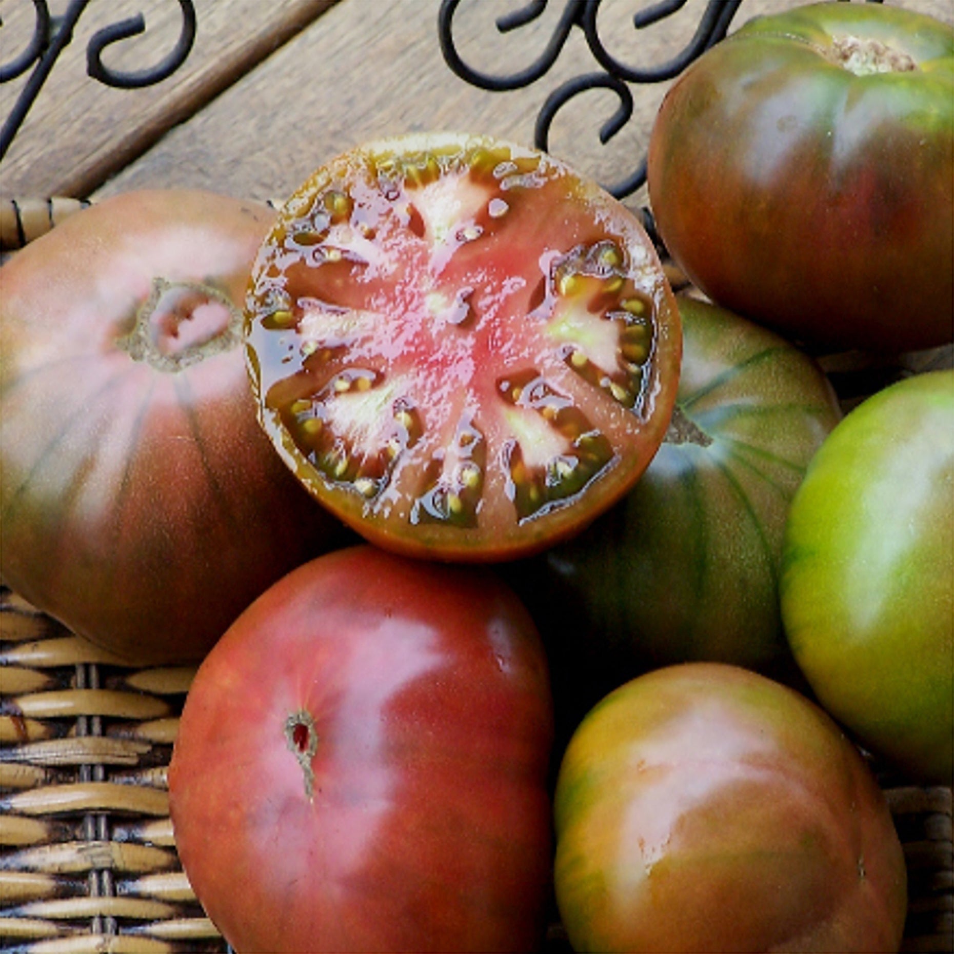 Tomato Seedling (Black Russian)