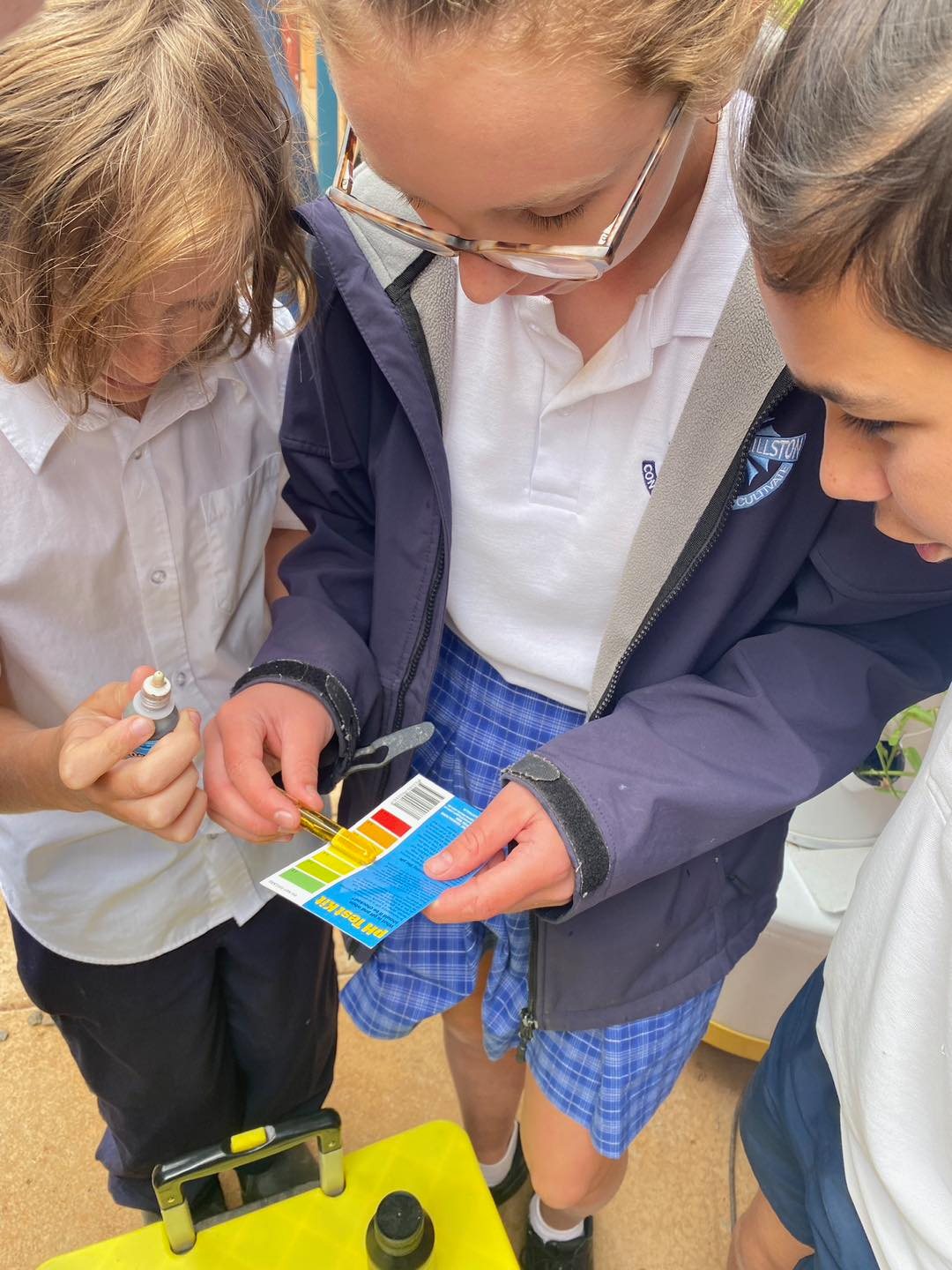 School Airgarden + Curriculum