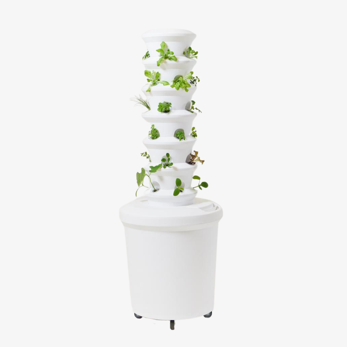 School Airgarden + Curriculum
