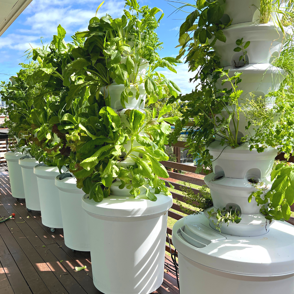 School Airgarden + Curriculum