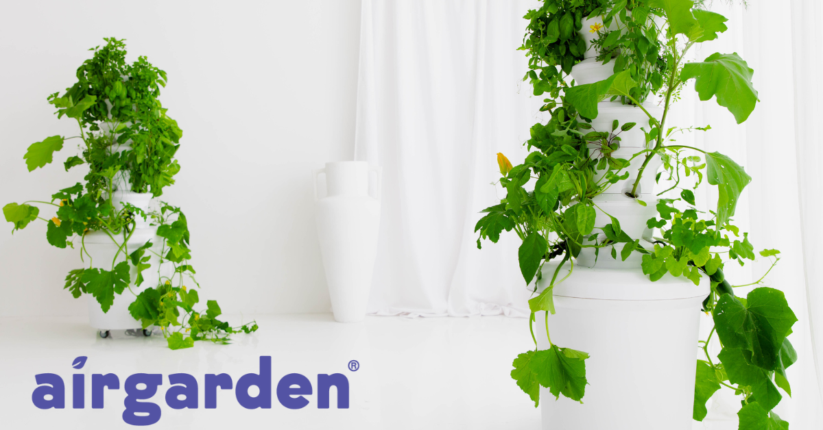 $50 Gift Voucher with Airgarden  Purchase  in May🌱💚