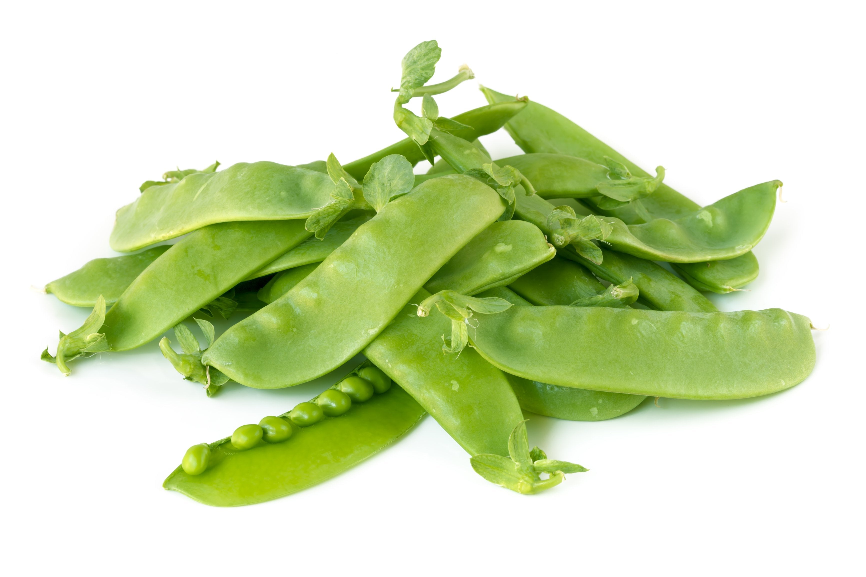 Snow Pea Seedlings