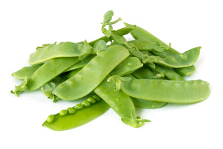 Snow Pea Seedlings