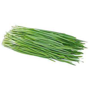 Garlic Chives