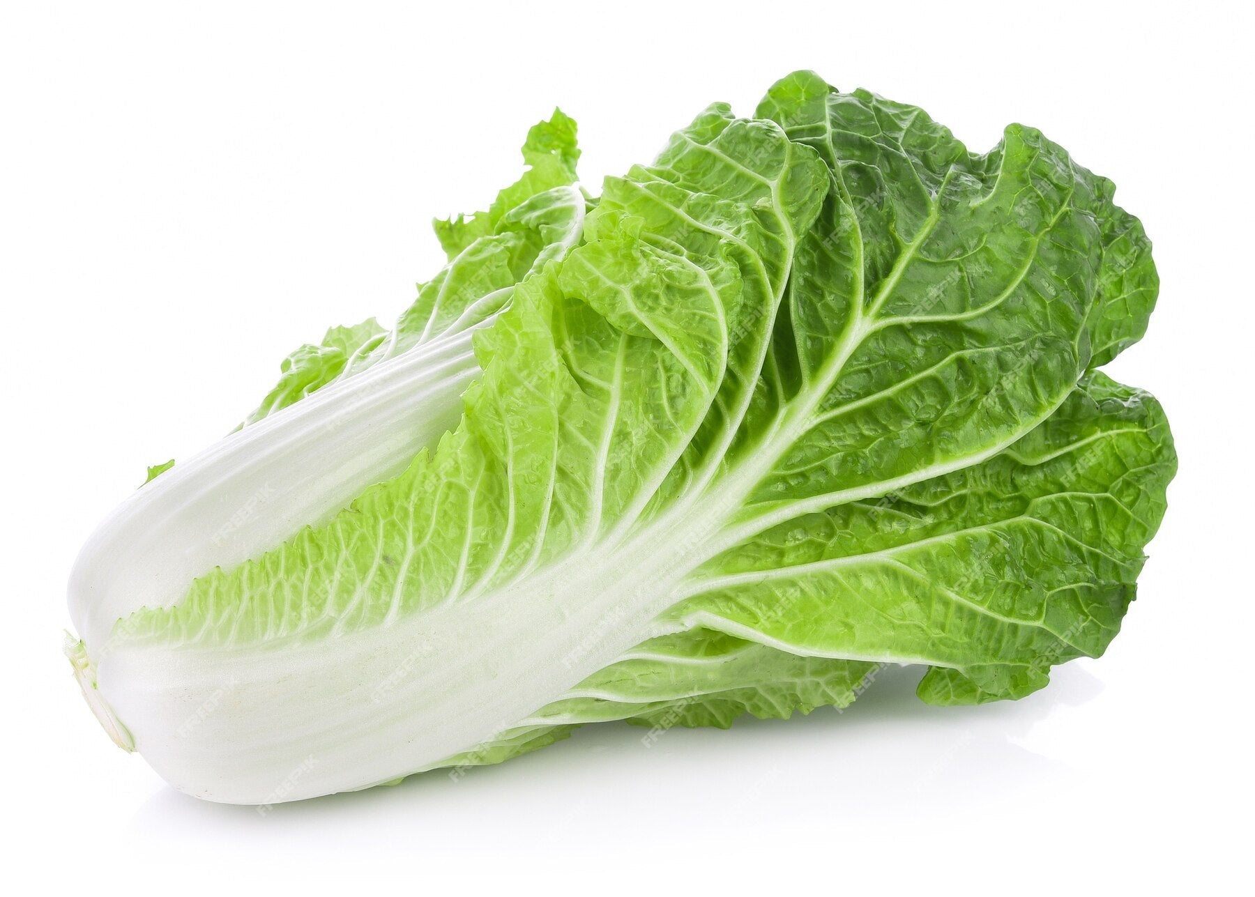 Chinese Cabbage (Mini Wombok)