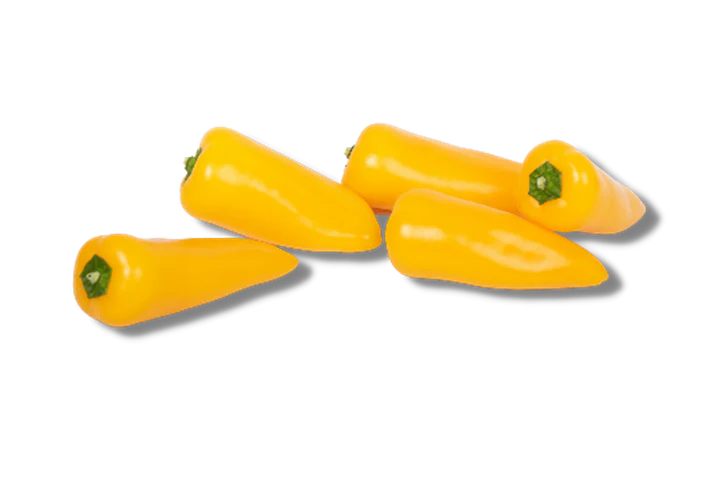 Snack (Yellow) Capsicum Seedlings