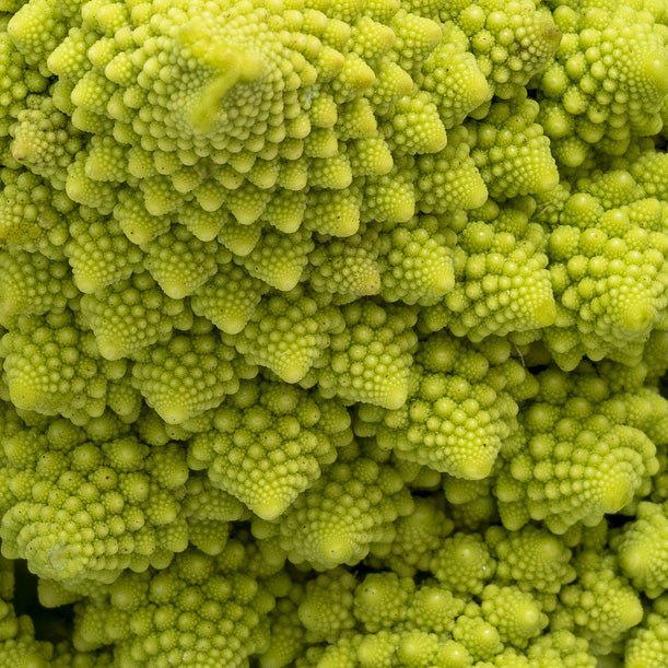 Romanesco (Green)