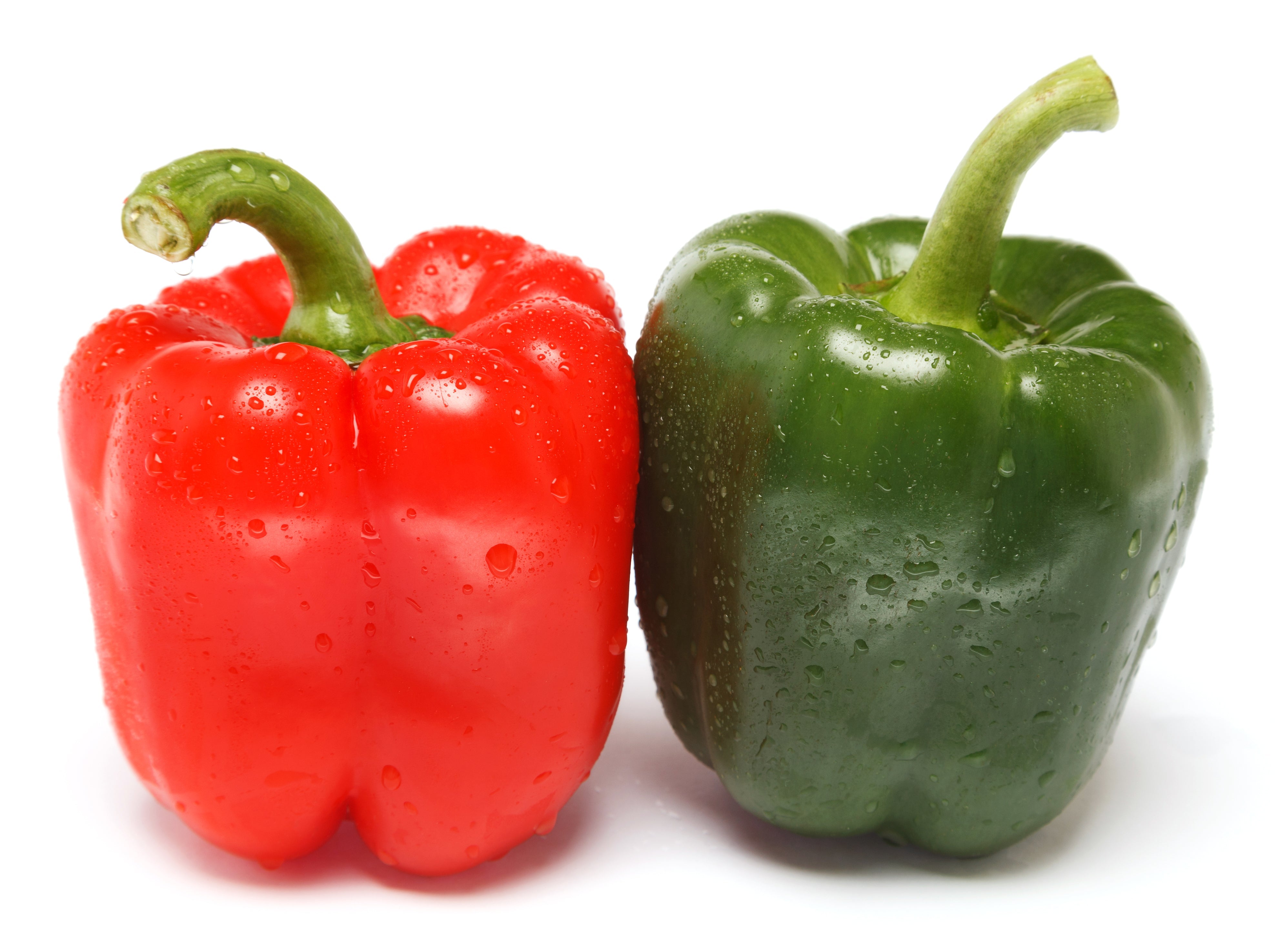 Capsicum (Green to Red) Seedlings