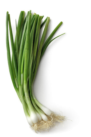 Spring Onion Seedlings