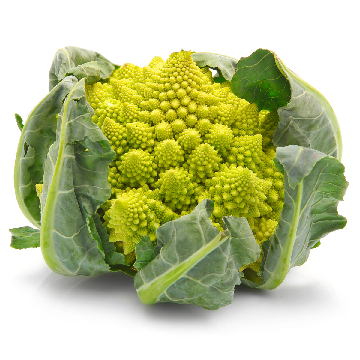 Romanesco (Green)