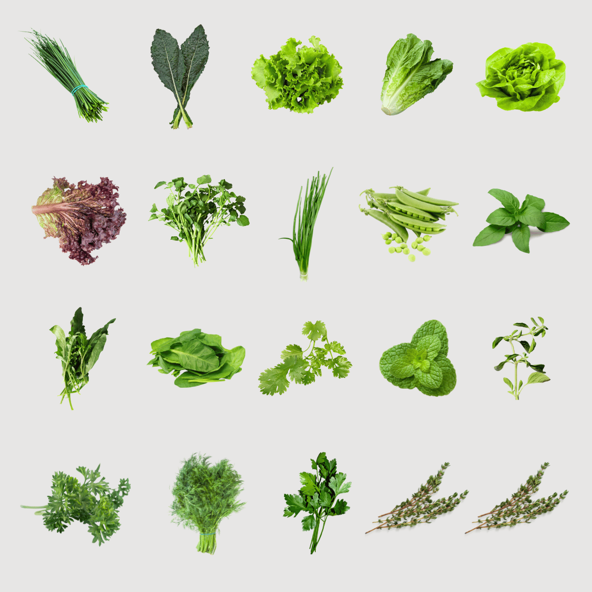 Leafy herb mix